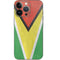 Guyana Flag Distressed iPhone 13 Pro Skin